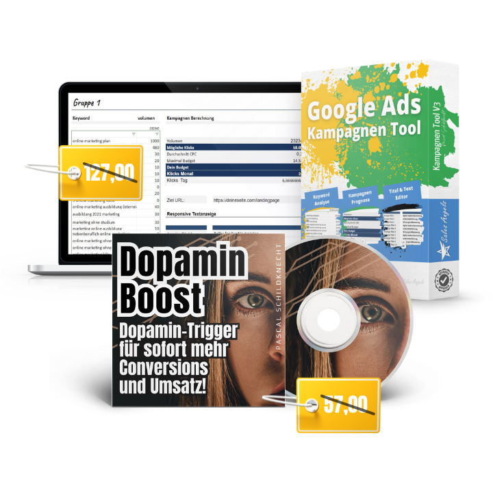 google ads kurs 2025 (2)